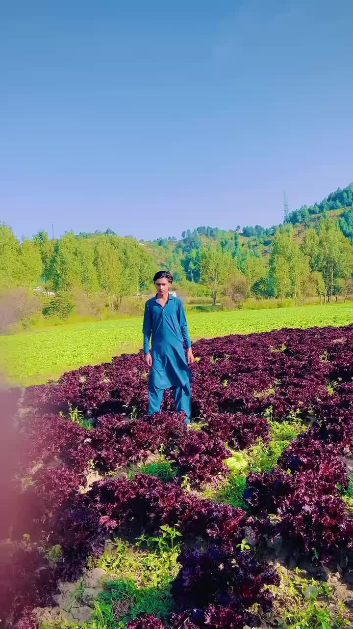 @🎶TALHA HU YAR👀🥀