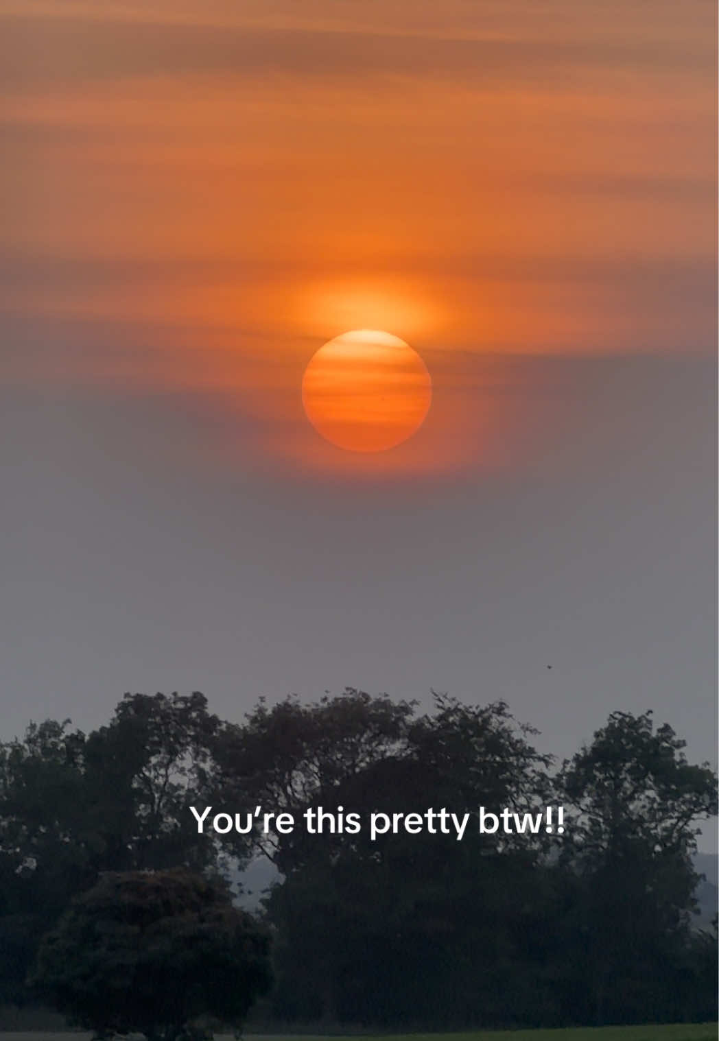 @Adamjmcnally