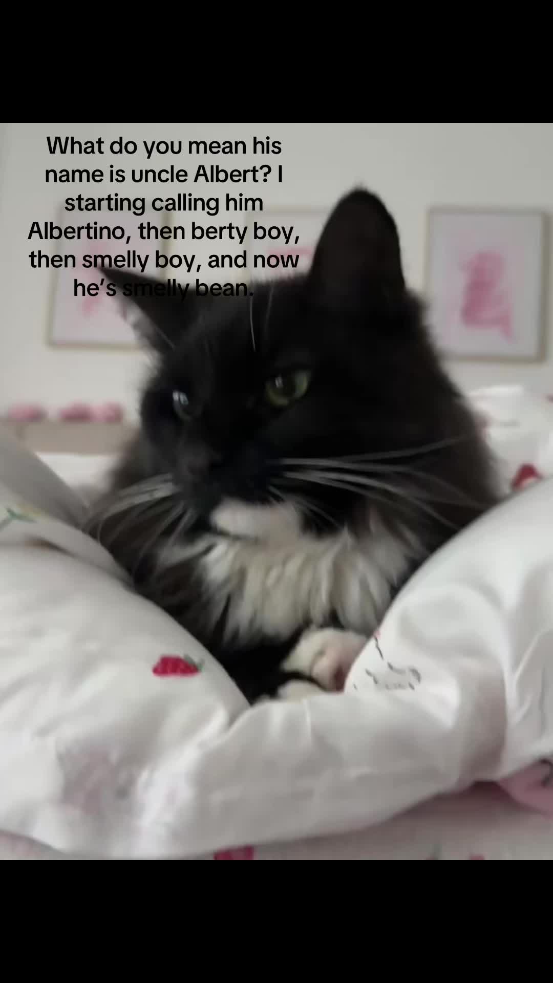 @howitfeeelstobelost