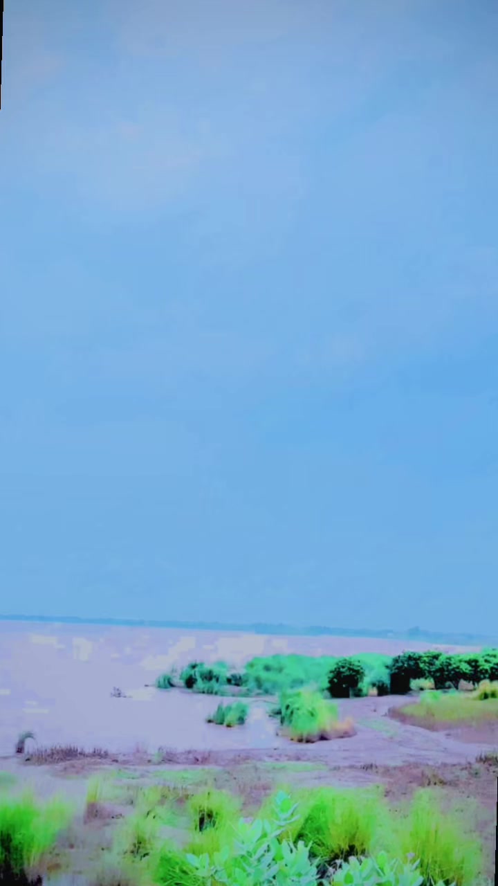 @Mahar Moba 47