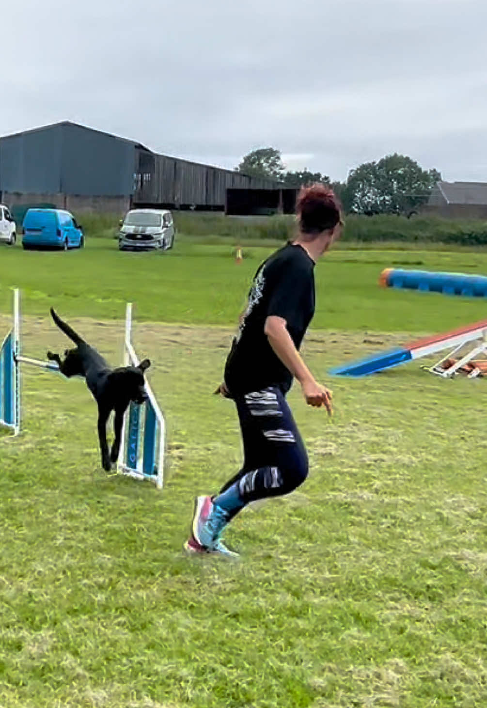 @Valleys Dog Training