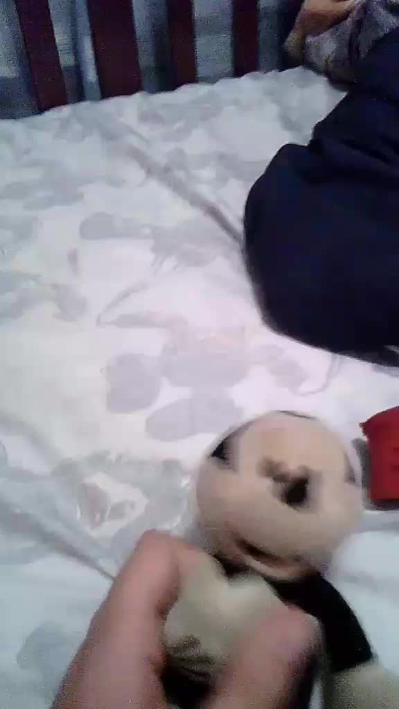 @tiktok plushes