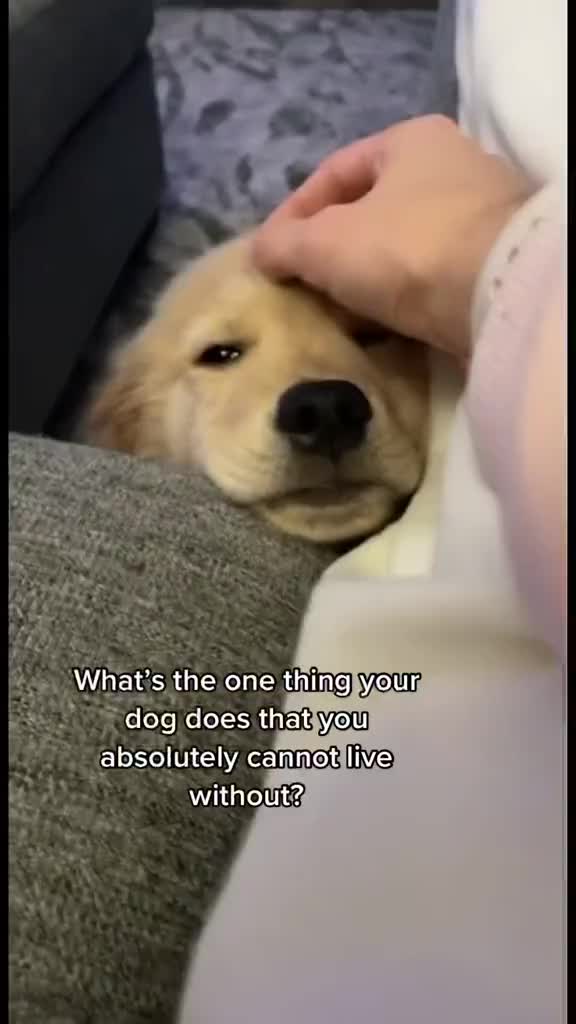 @George The Golden