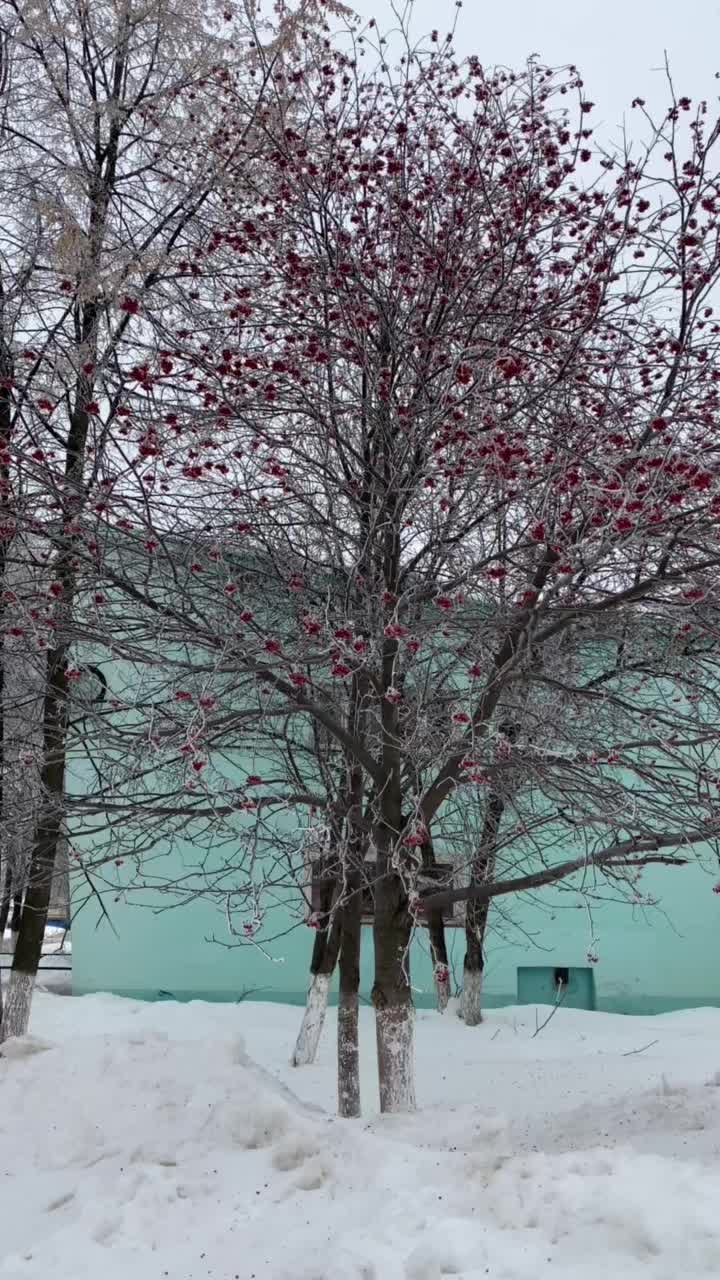@Алмаз Нурлыев