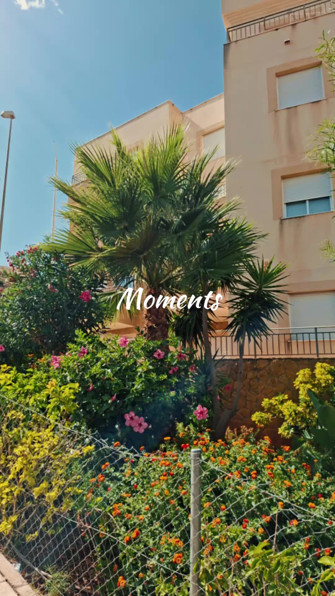 @Dmy♣️Alexandra