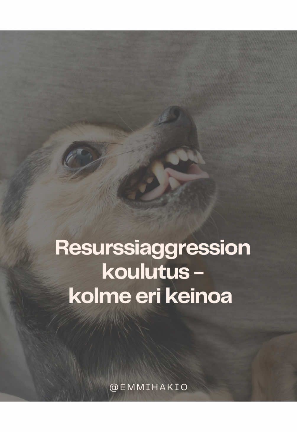 @Emmi Hakio