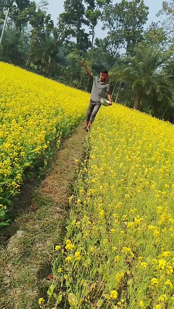 @রুপ কথার রাজকুমার তৌহিদ হাছান