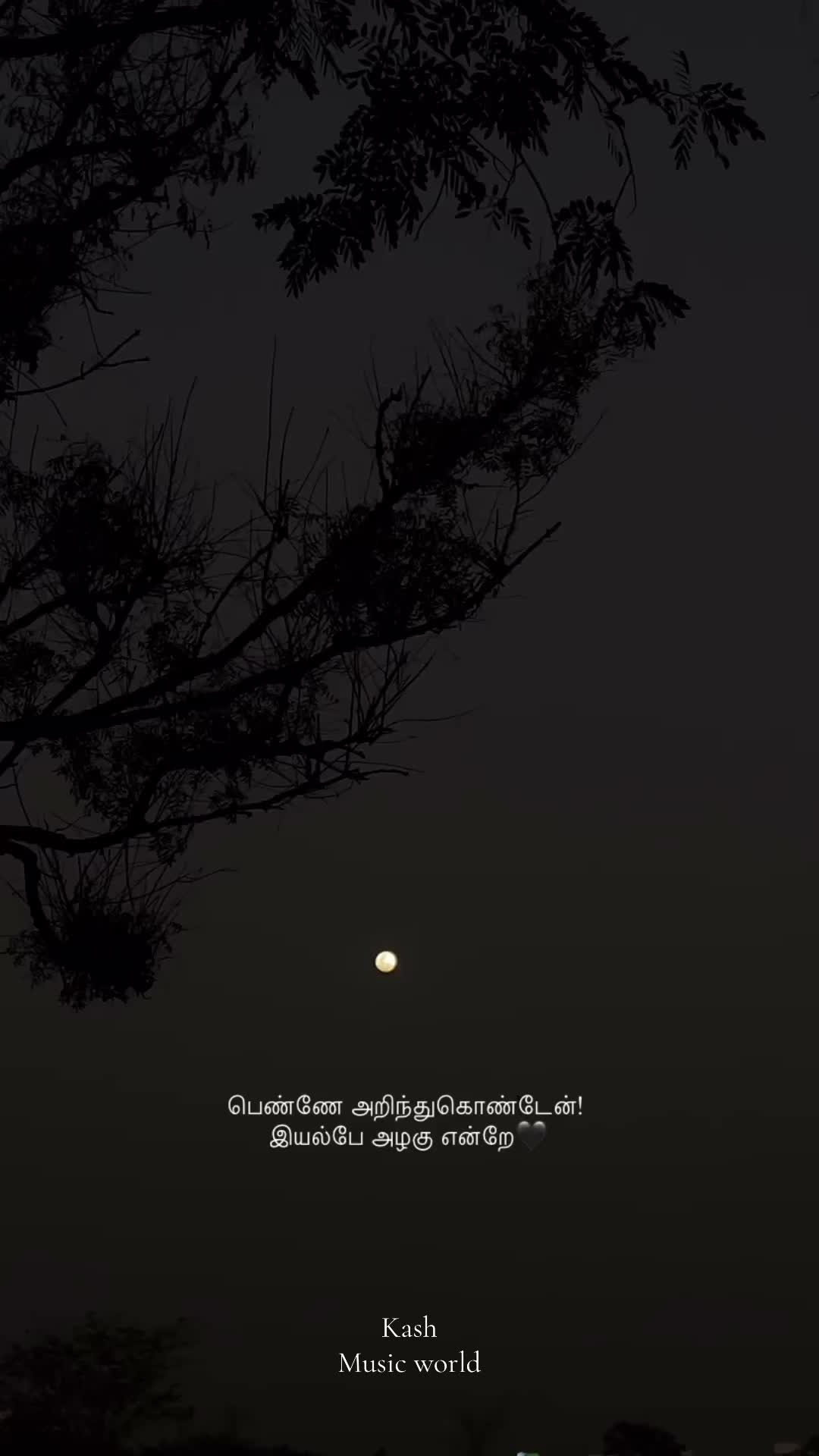 @user03977516201