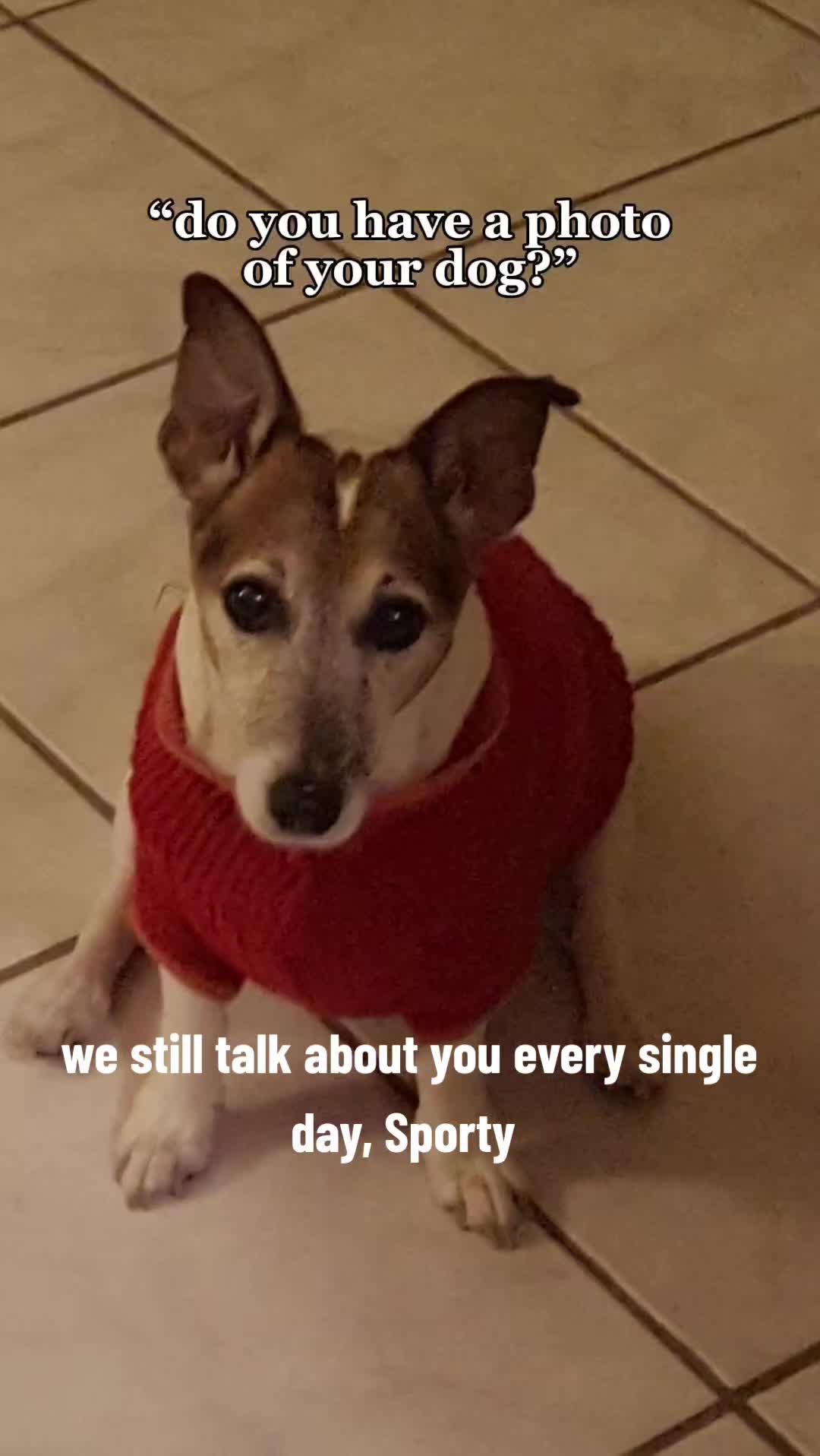 @PhaeRay