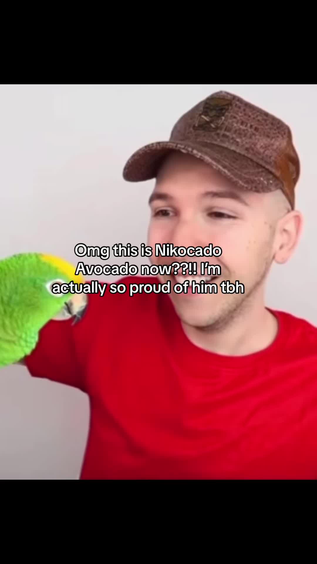 @SteeplesOrbz