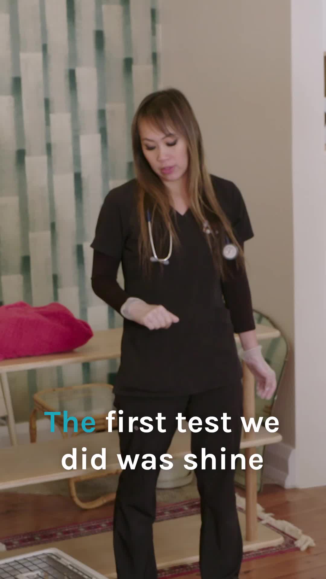 @Bondi Vet