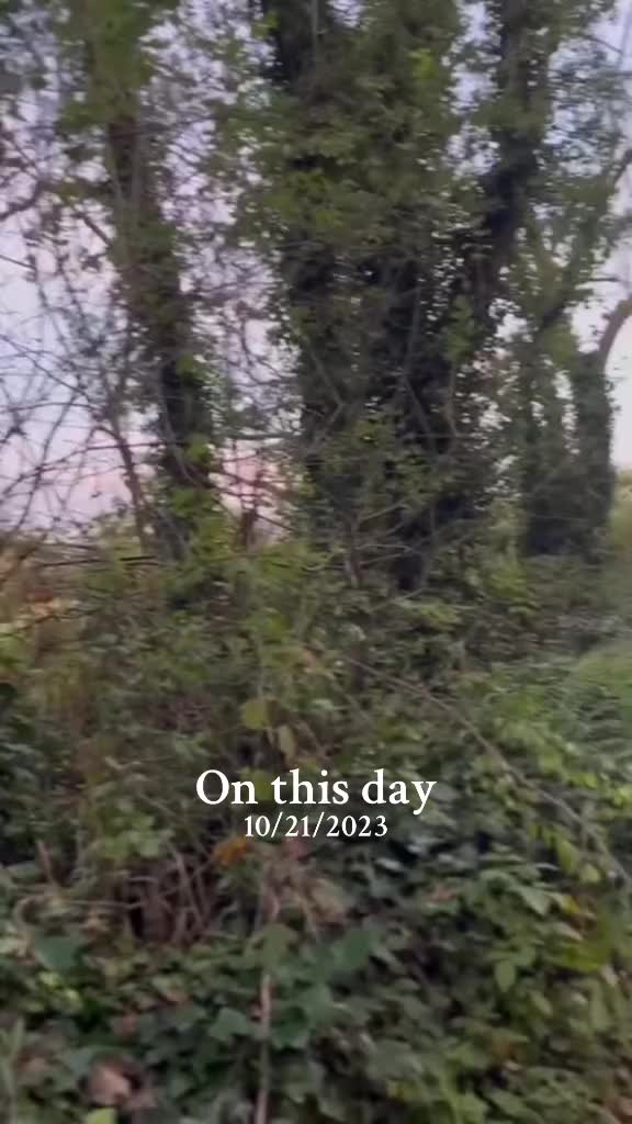 @Jackmurph73