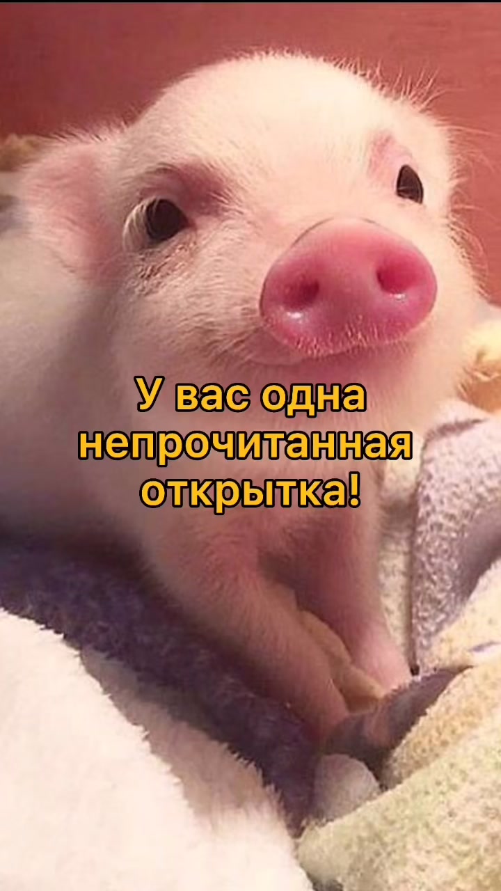 @GartonGatti