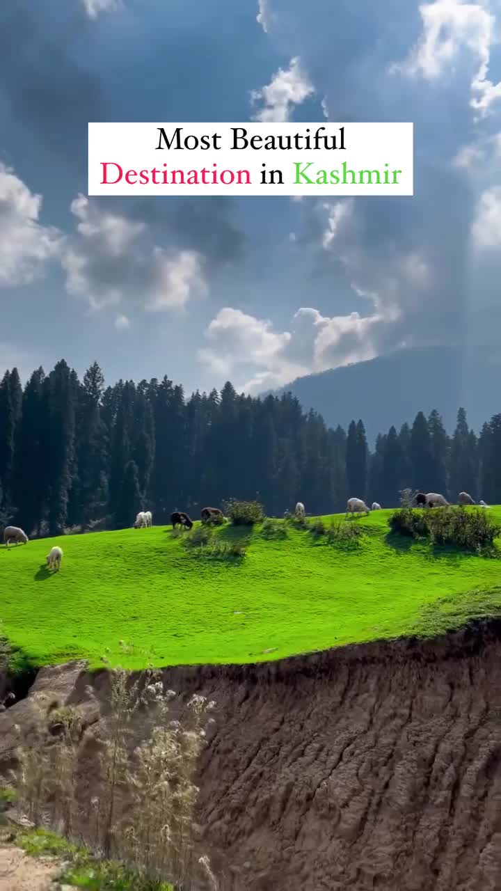 @India
