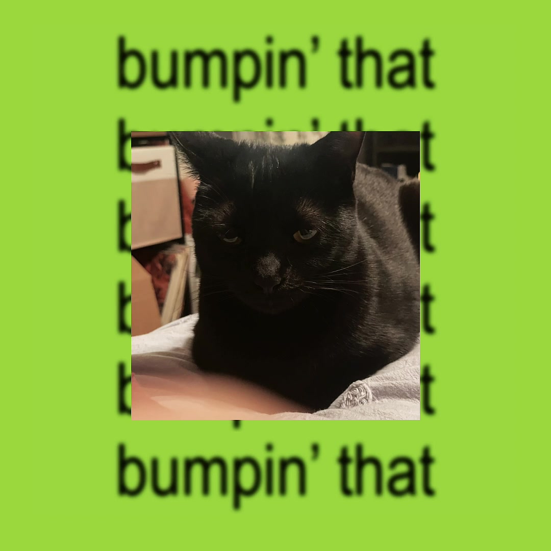 @maddie☆彡