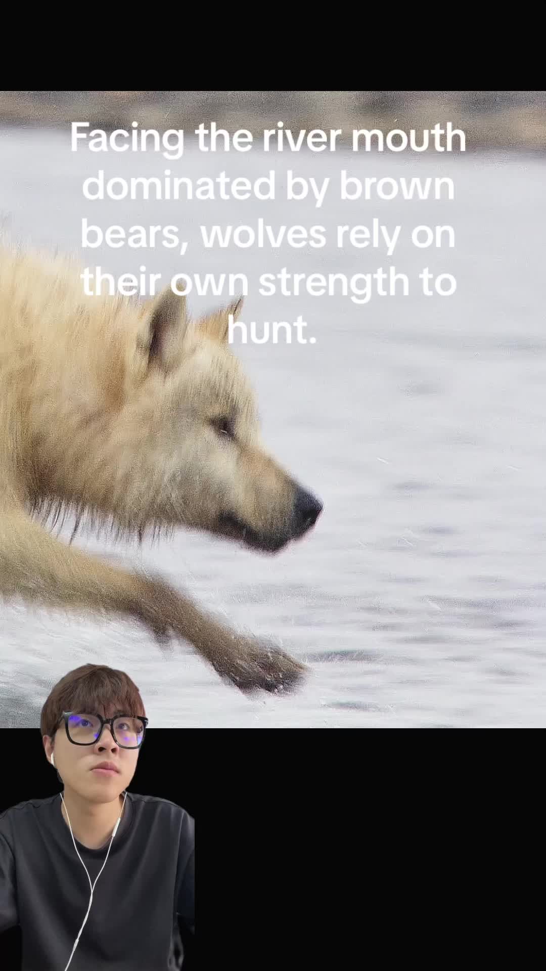 @aboutanimals