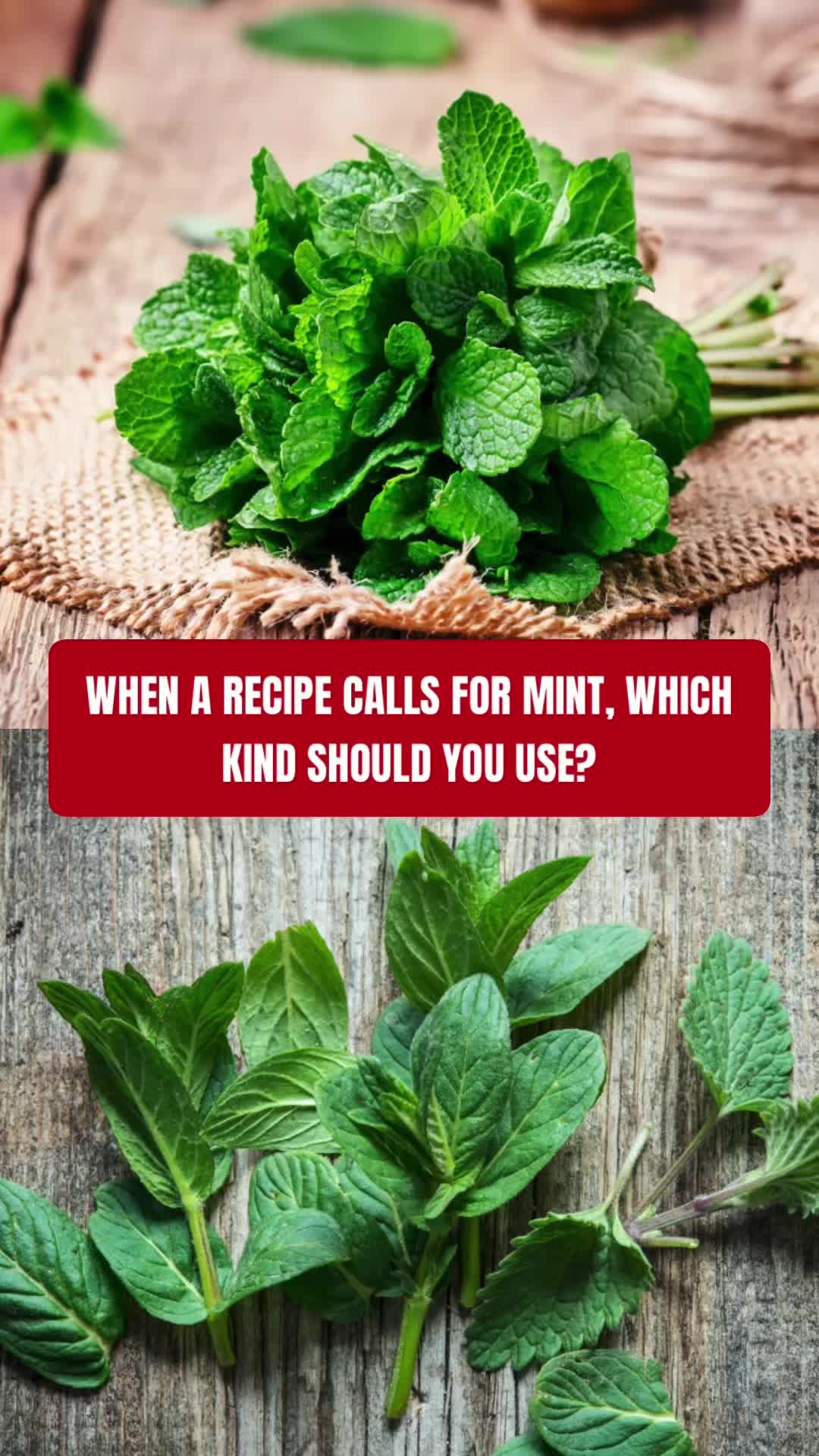 @meal2healae