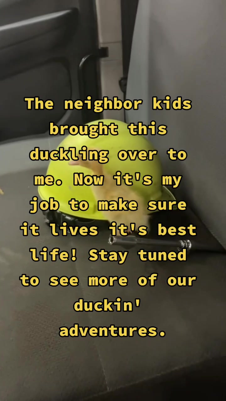 @Duckin_Around