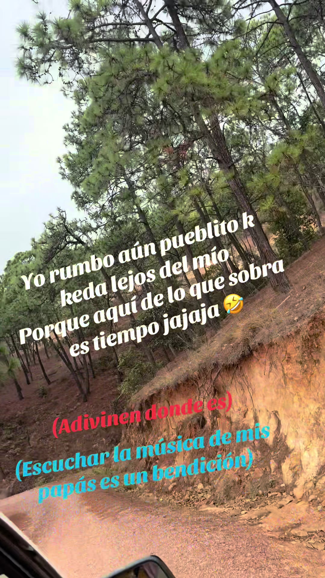 @✨🦋Flor🦋✨🌻🏀