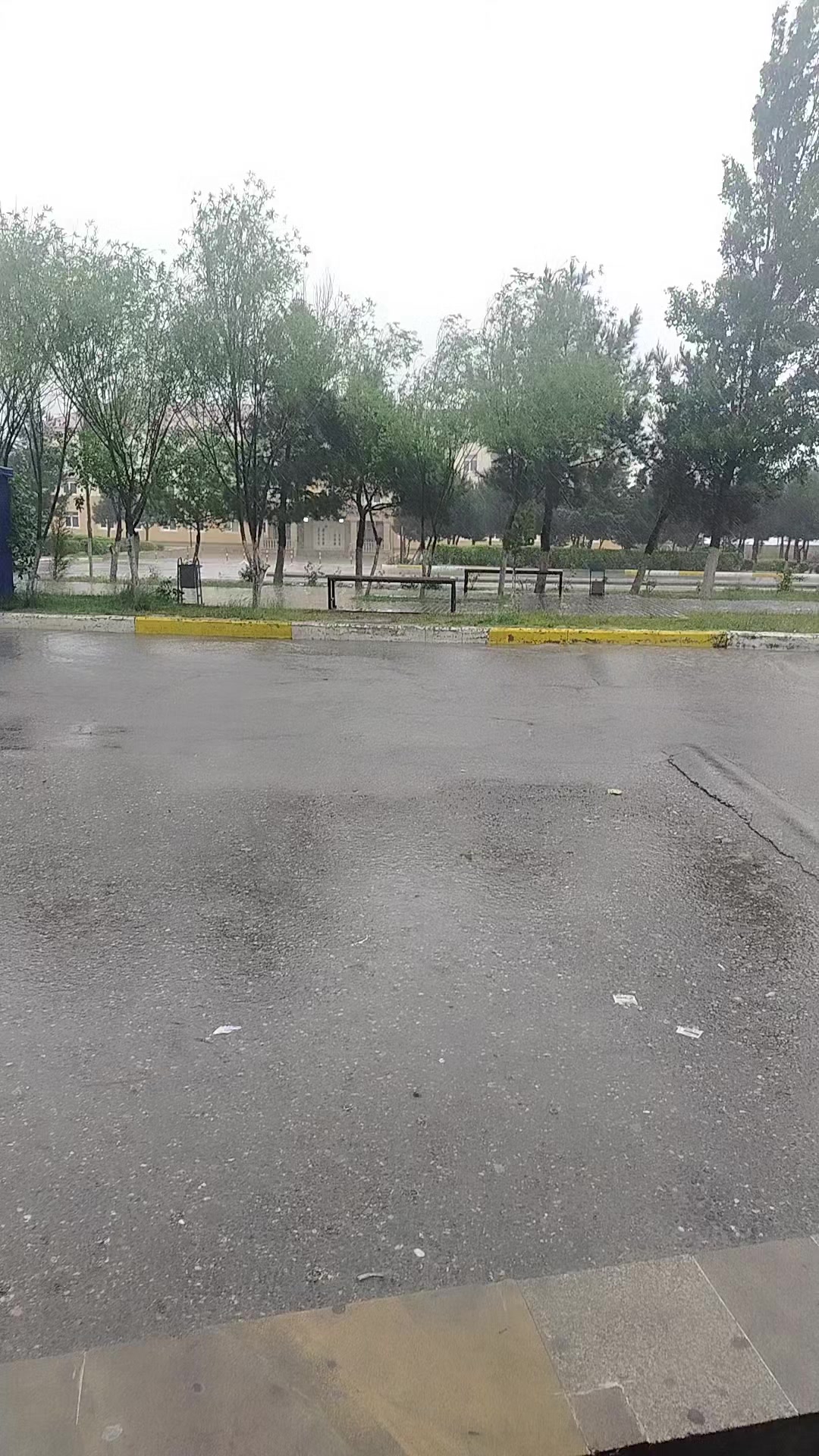 @Beylaqanli