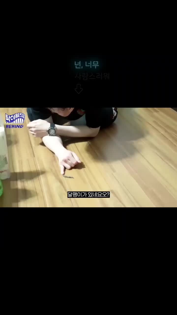 @youngblues0512