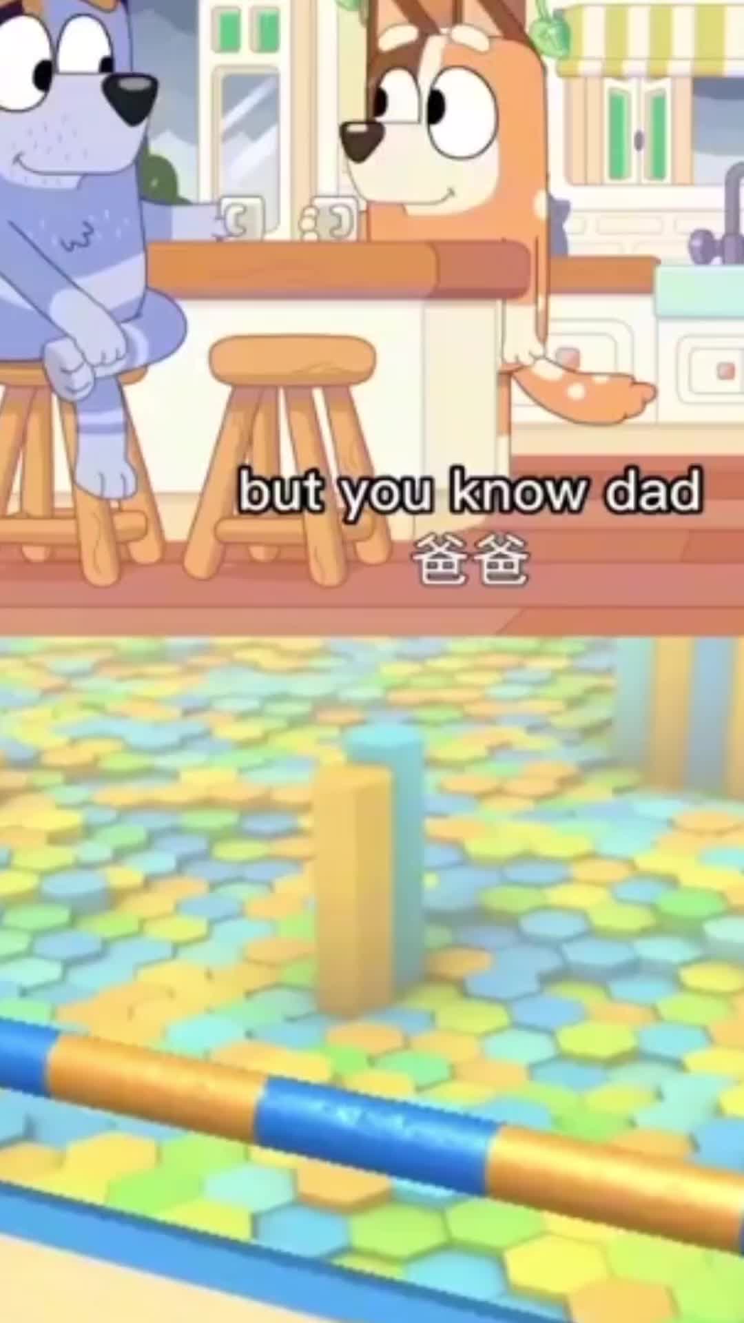 @Daily Bluey Videos