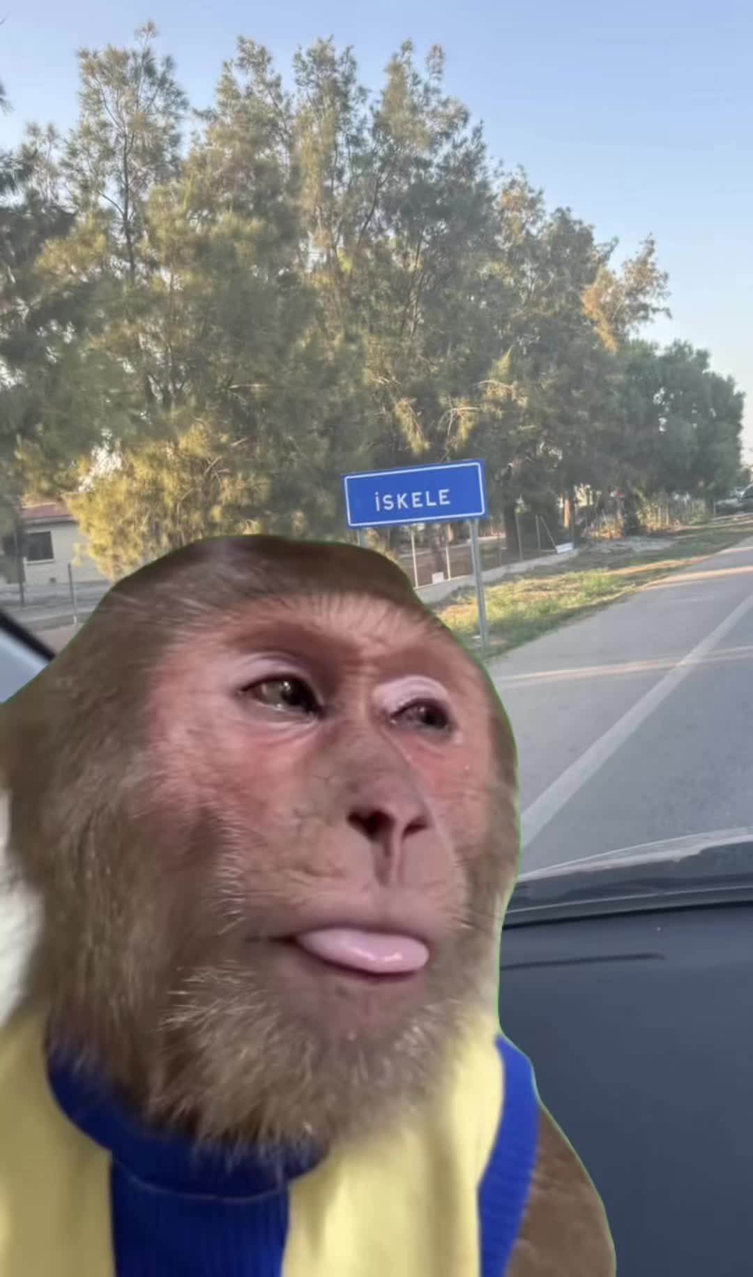 @Cousin Iskele 🐸