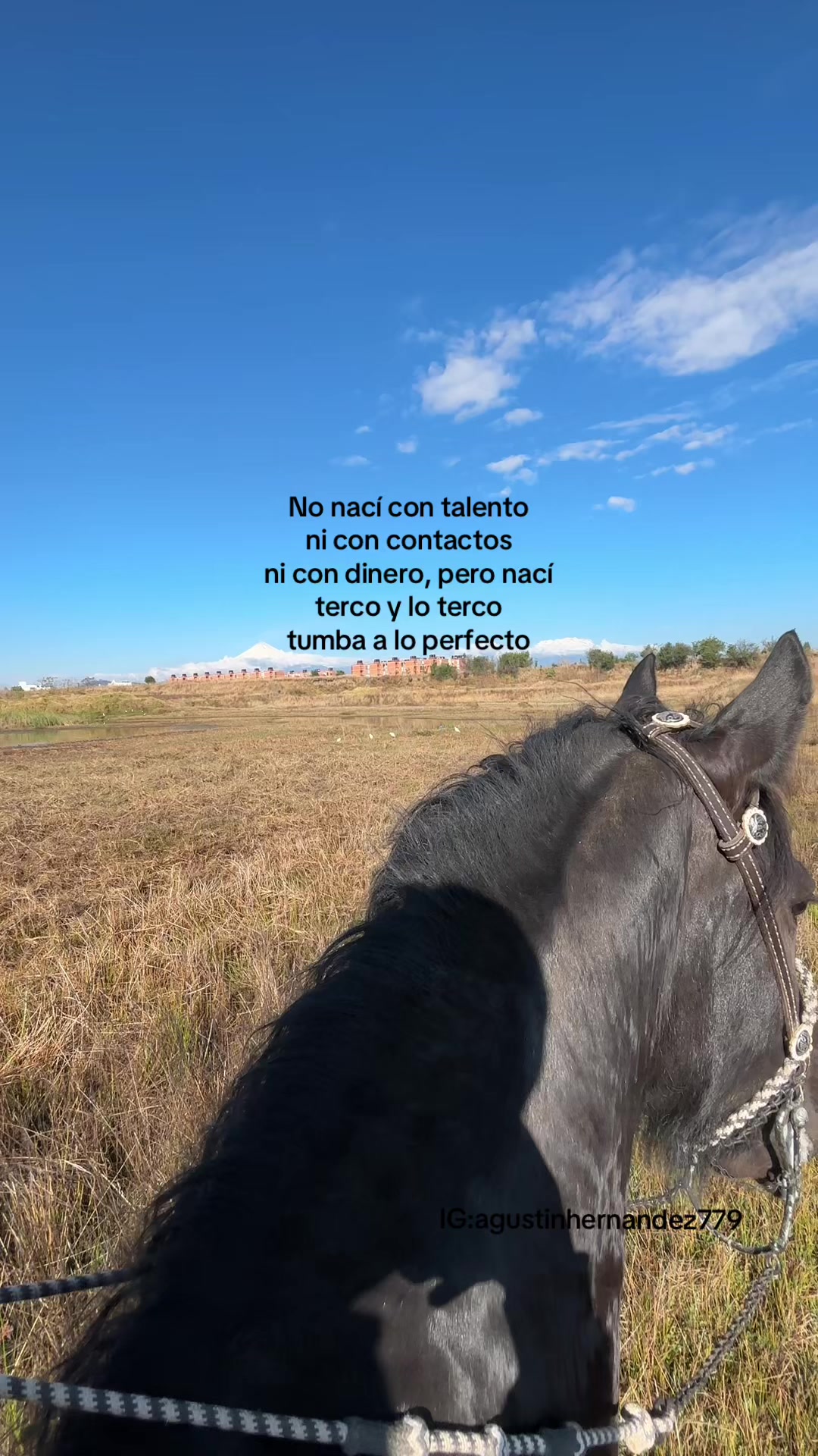 @Agus🩺🐎