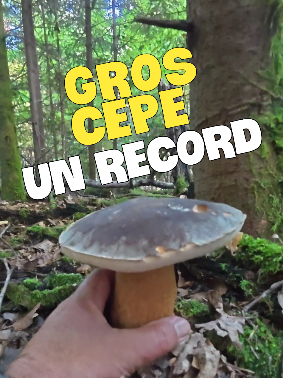 @Dan 🍄&zwj;🟫 Le Champologue