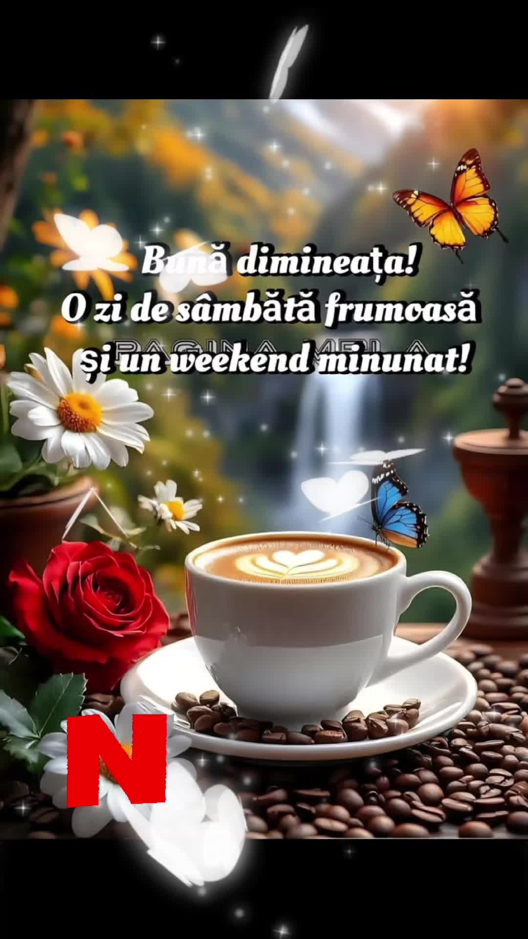 @Nicolae Iamandi