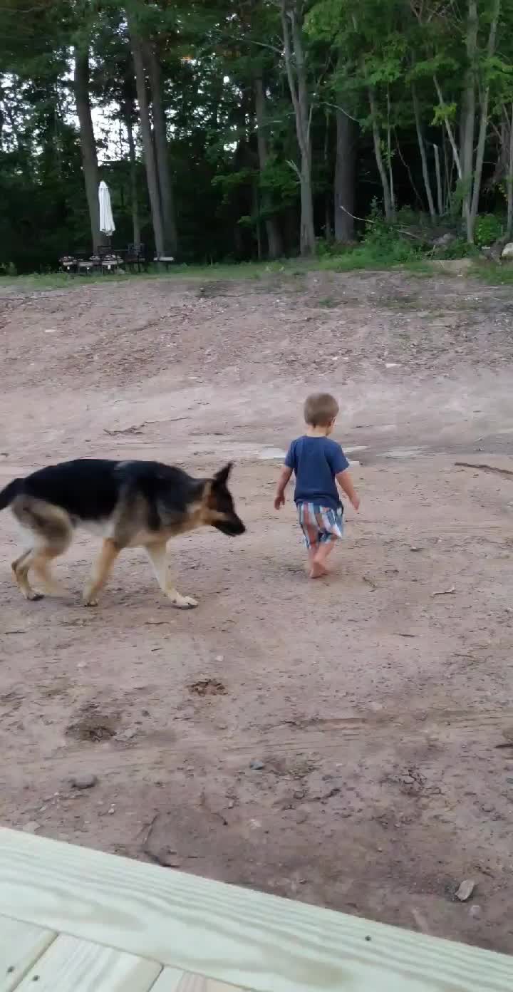 @Kolt - GSD