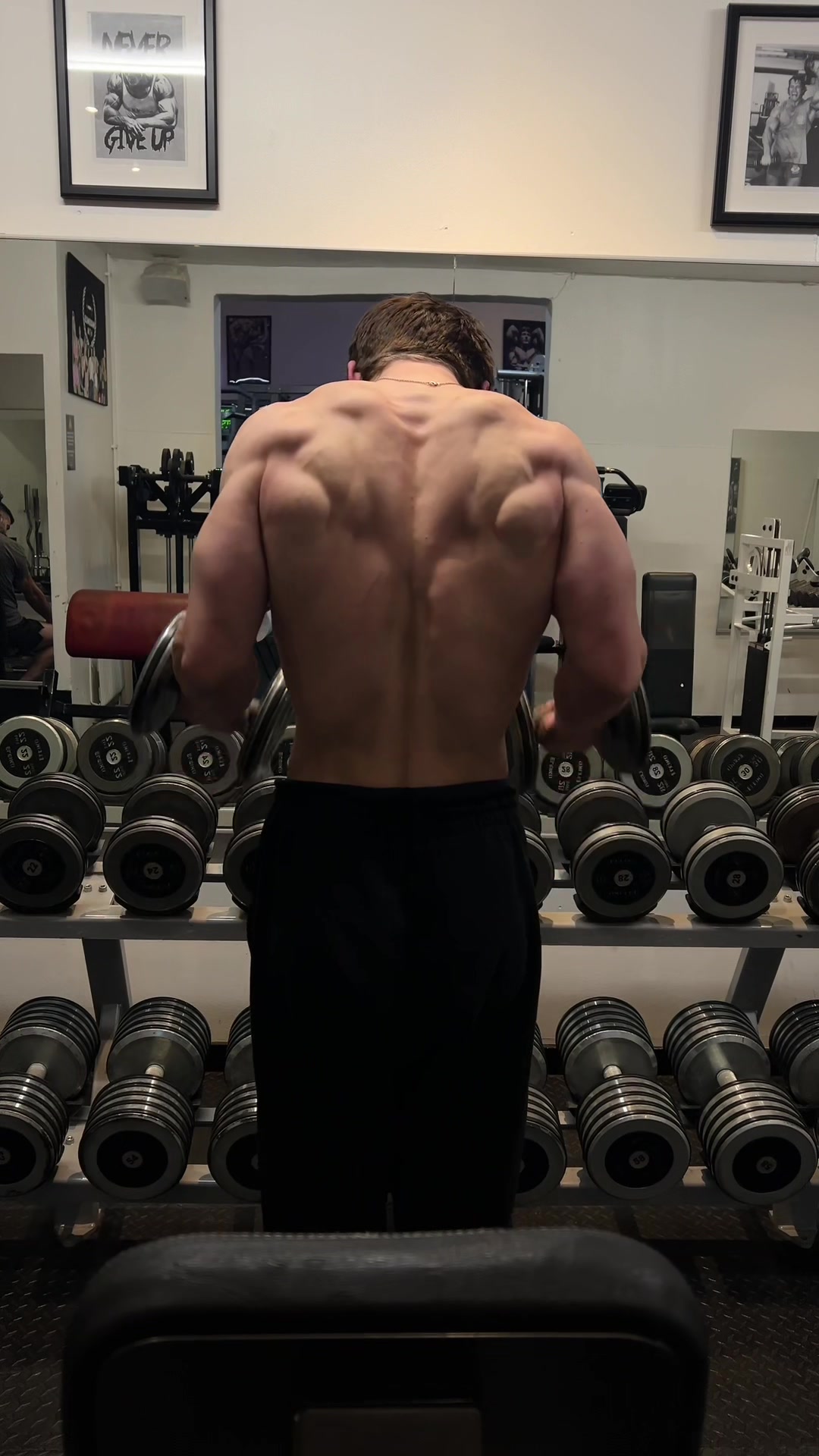 @Thefitnessnerd