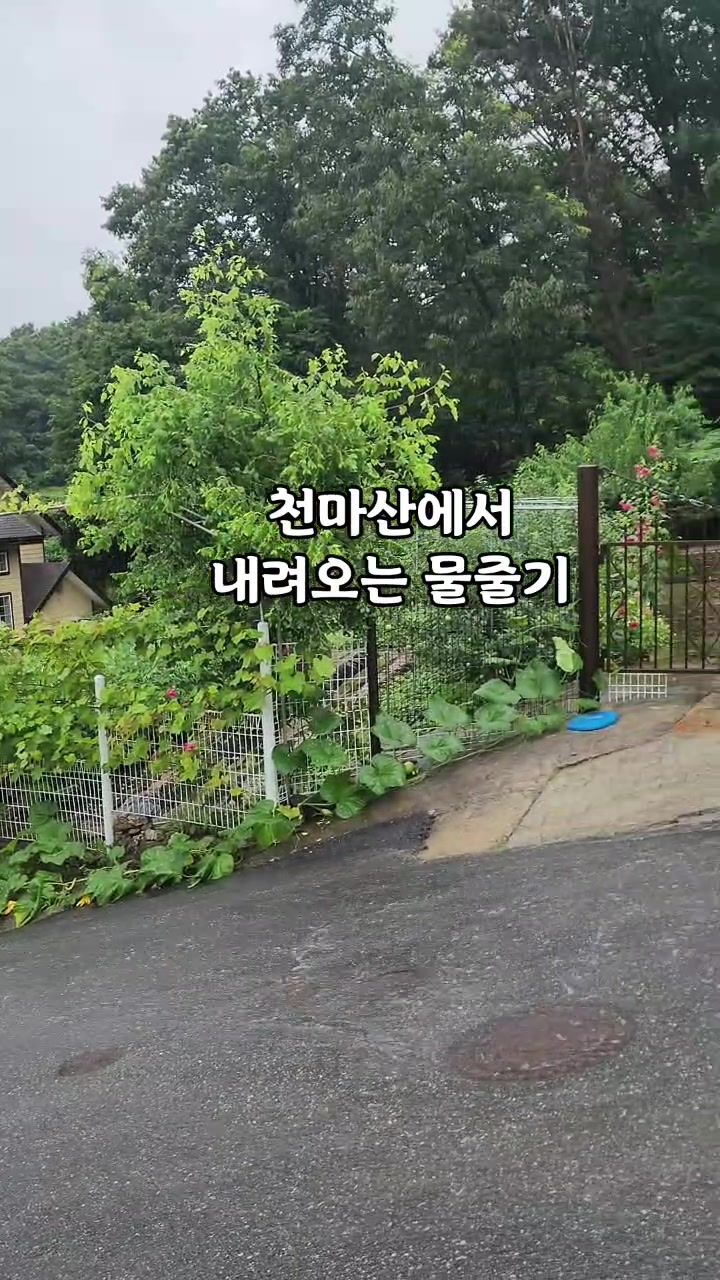 @🇰🇷클래시은하🌳Classyeunha🌳🇰🇷