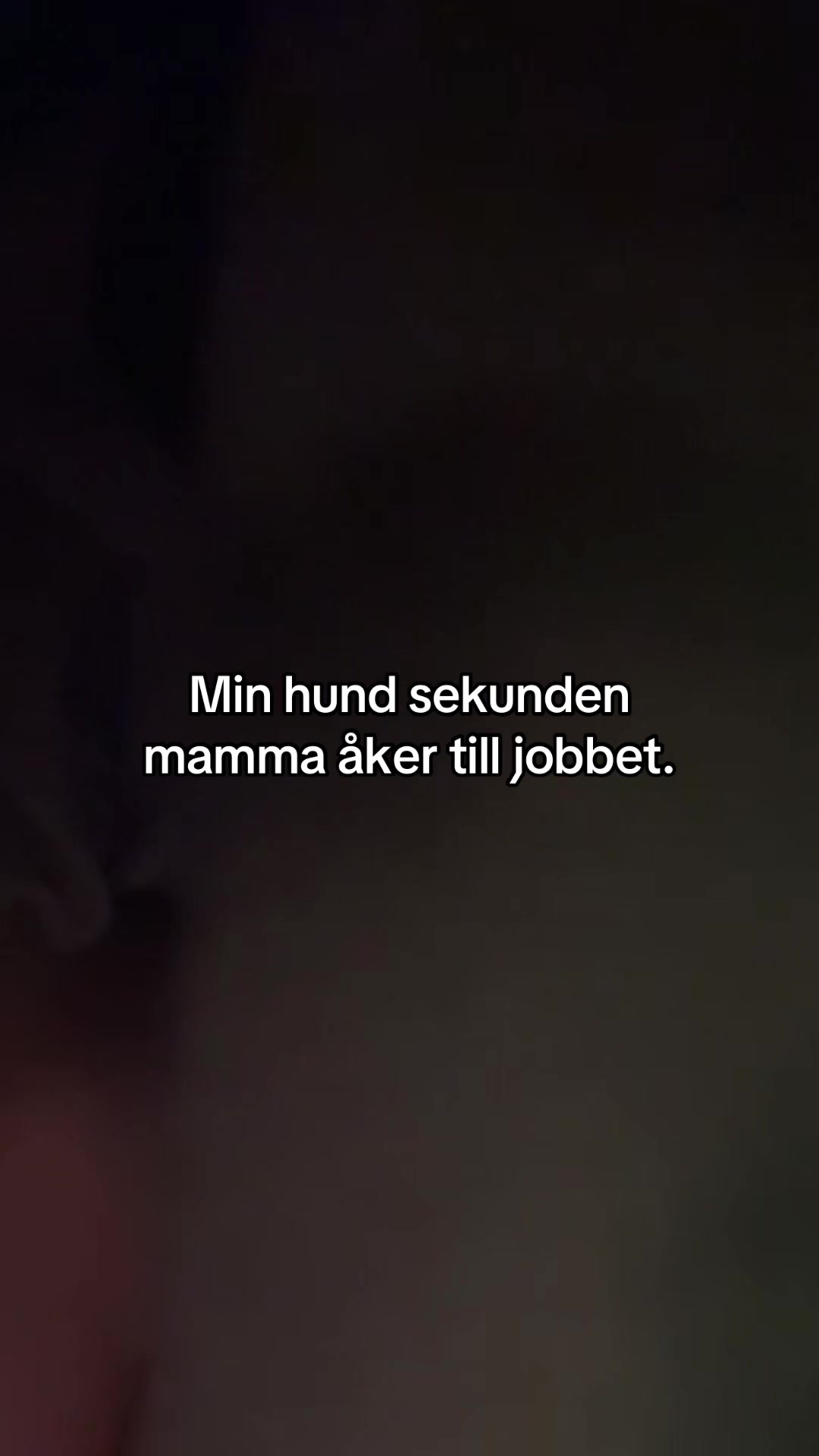 @signe_johansson🎀