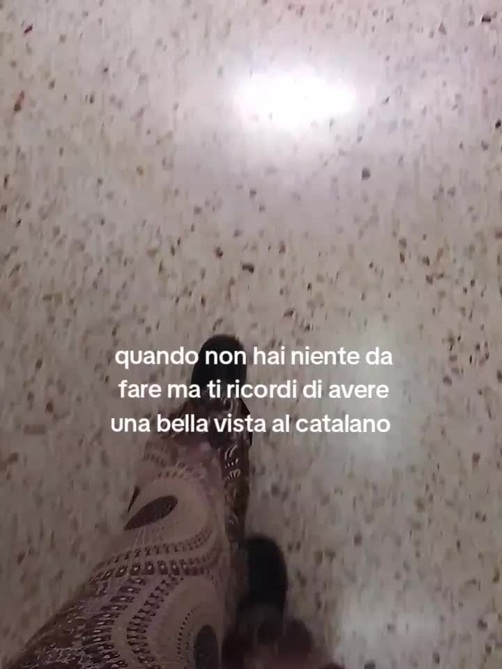 @syyyyria🪷🦟🕷️