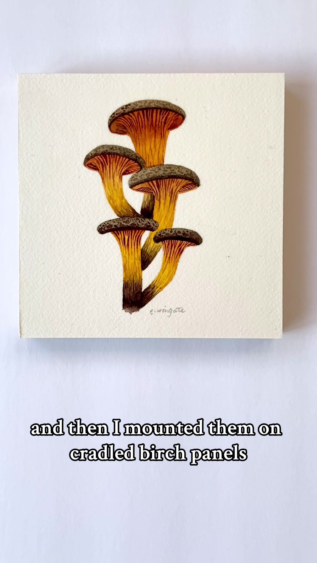 @EmilyWingateArt