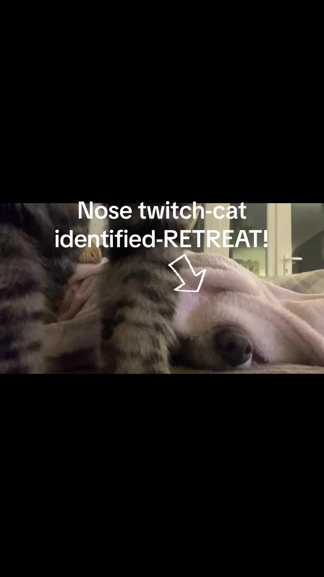 @Nala