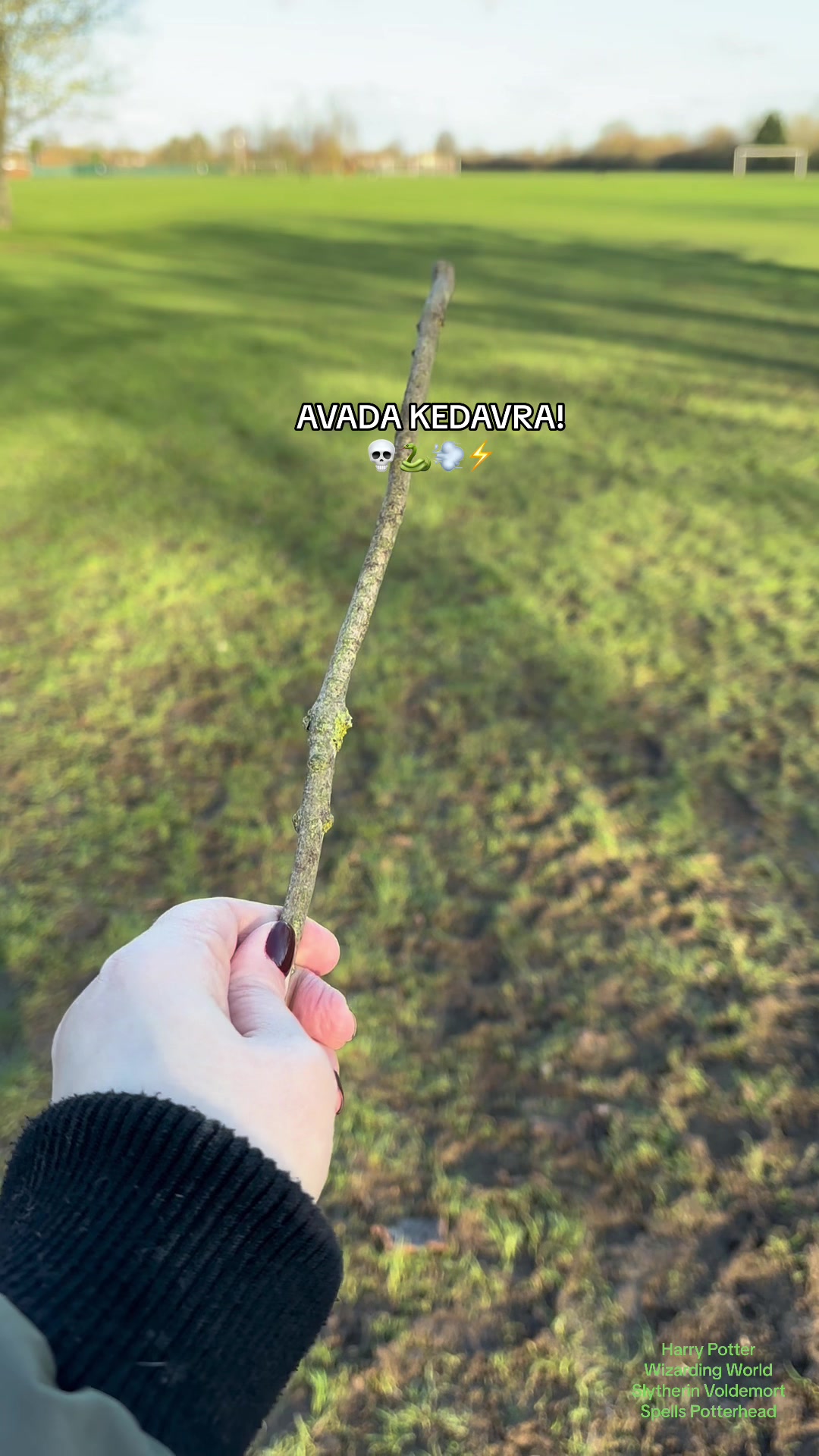 @Harry Potter Nerd
