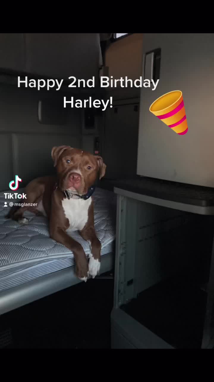 @harley134