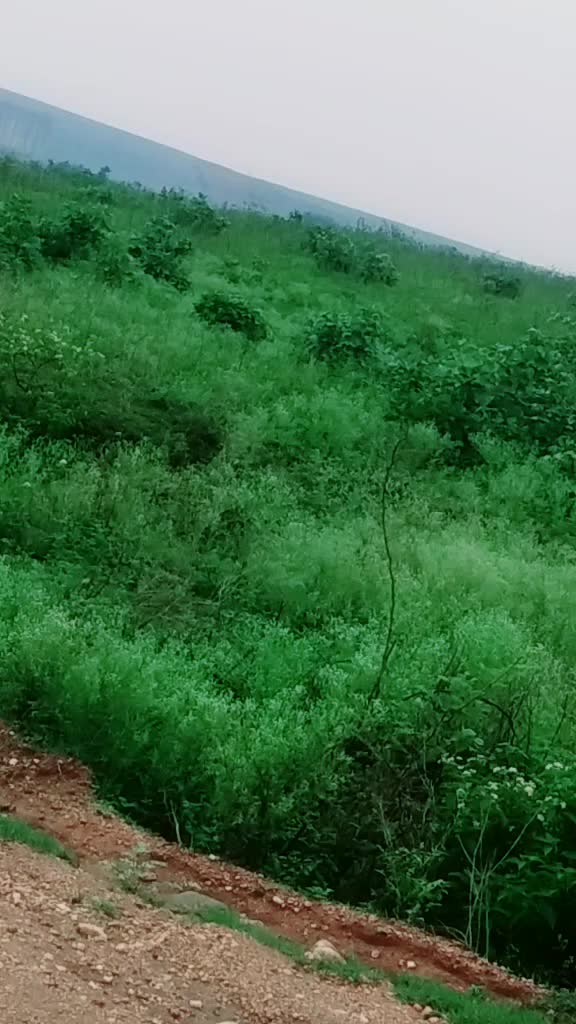 @Harsh Wardhan