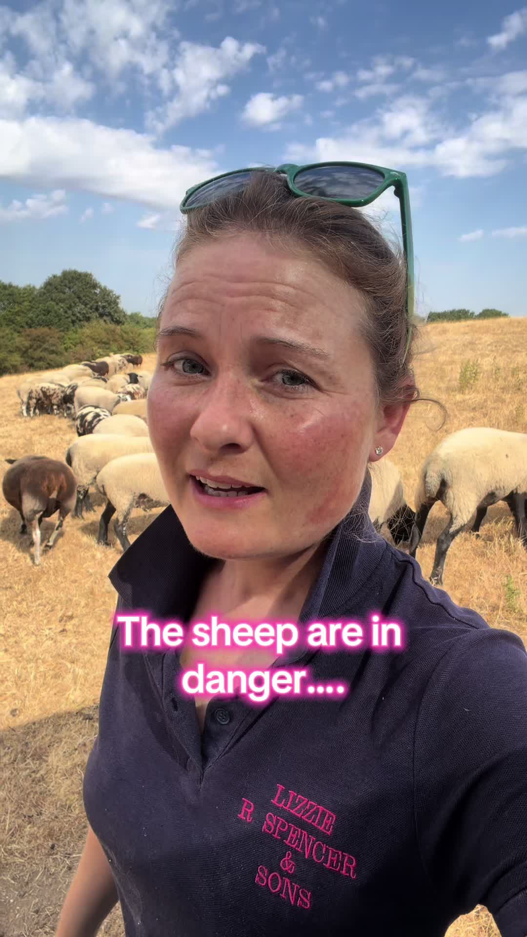 @LizziesFlock