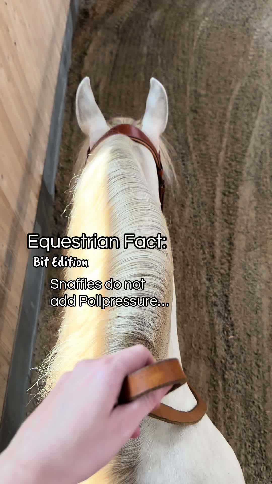 @Roseouro Equest