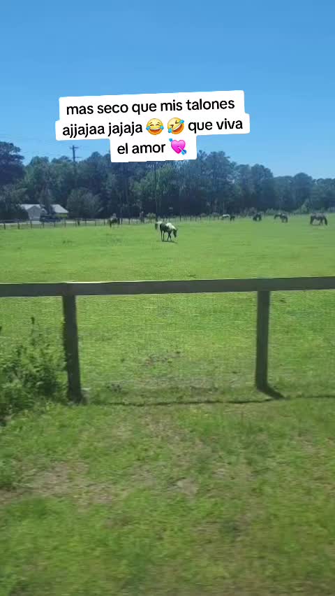 @Zoilaconz