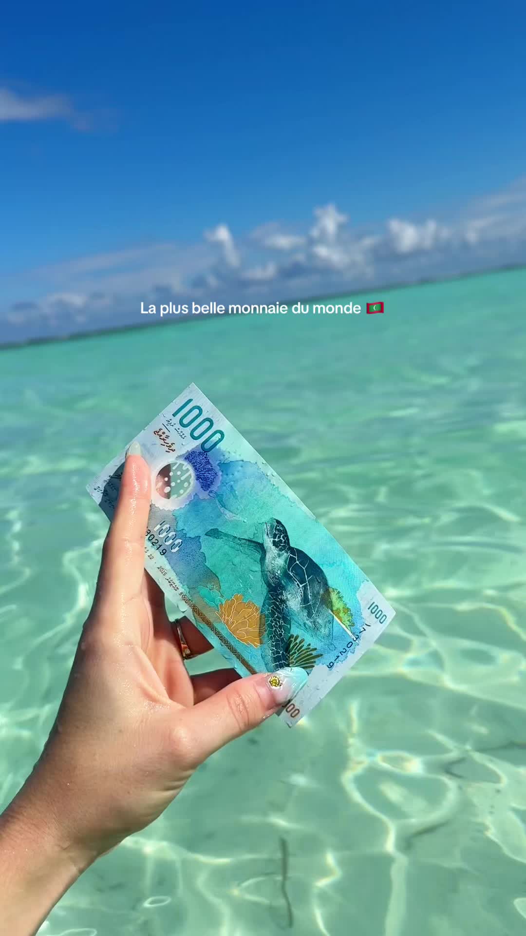 @Lyluutravel 🌴