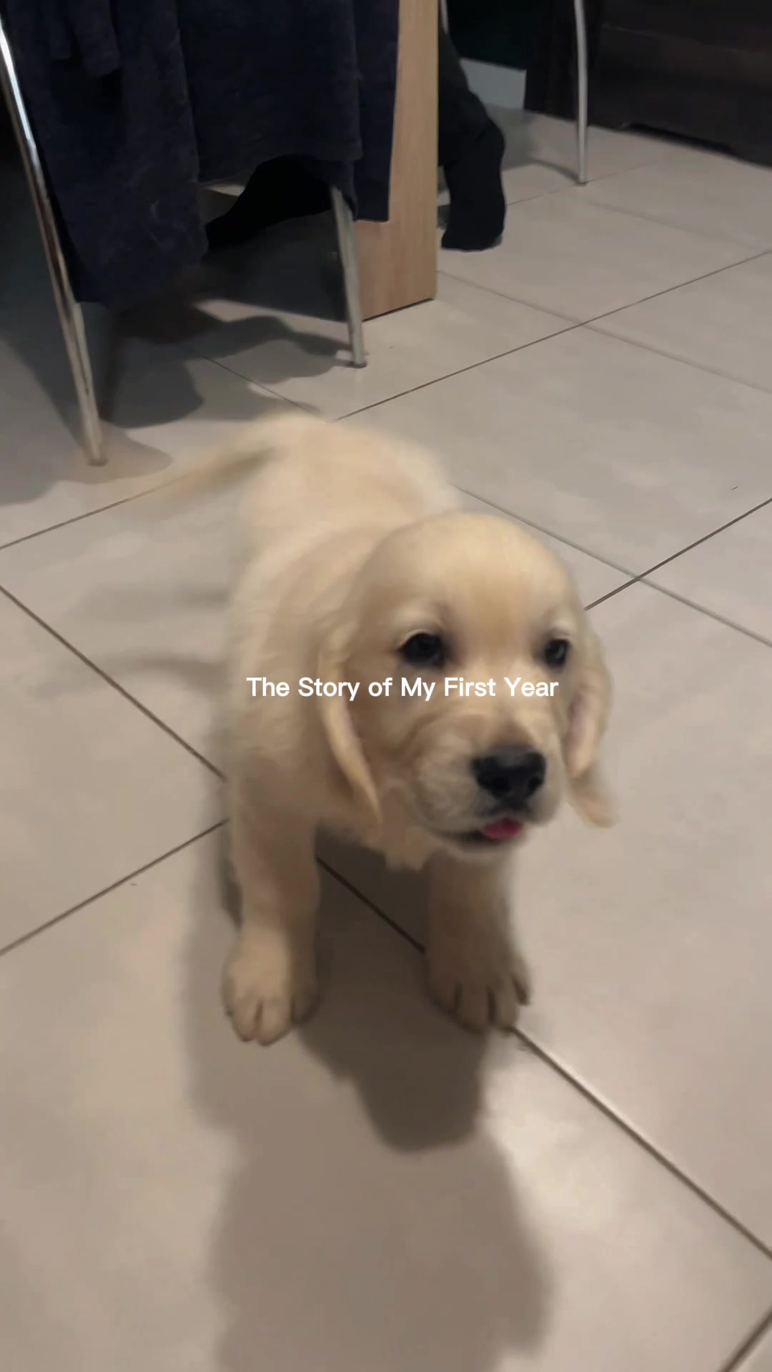 @🤍