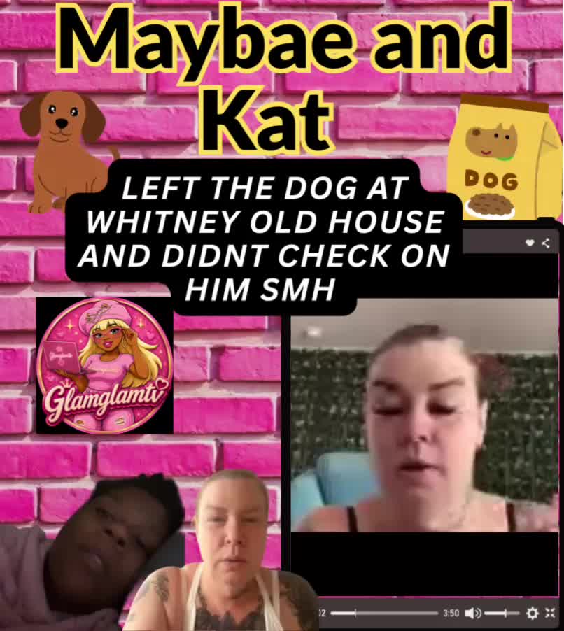 @glamglamtv 🩷🖤🩷🖤
