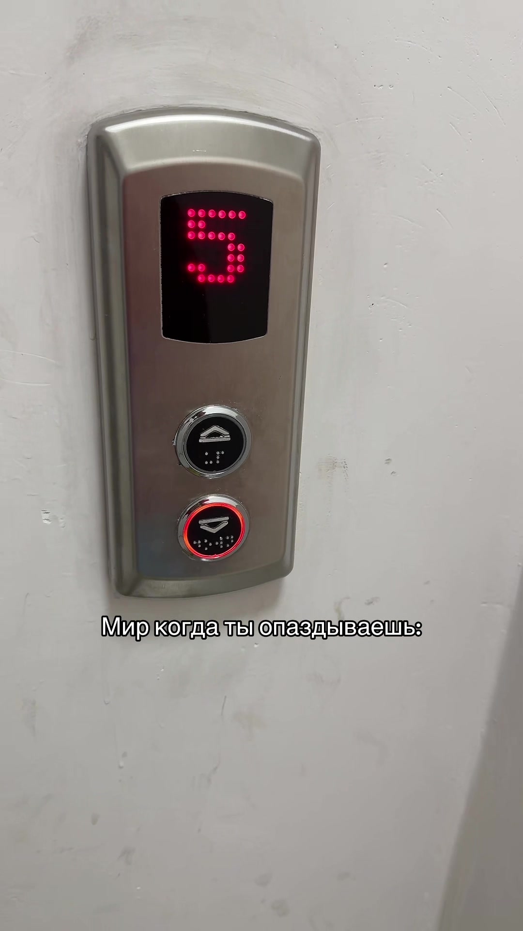 @Алихан не кринж