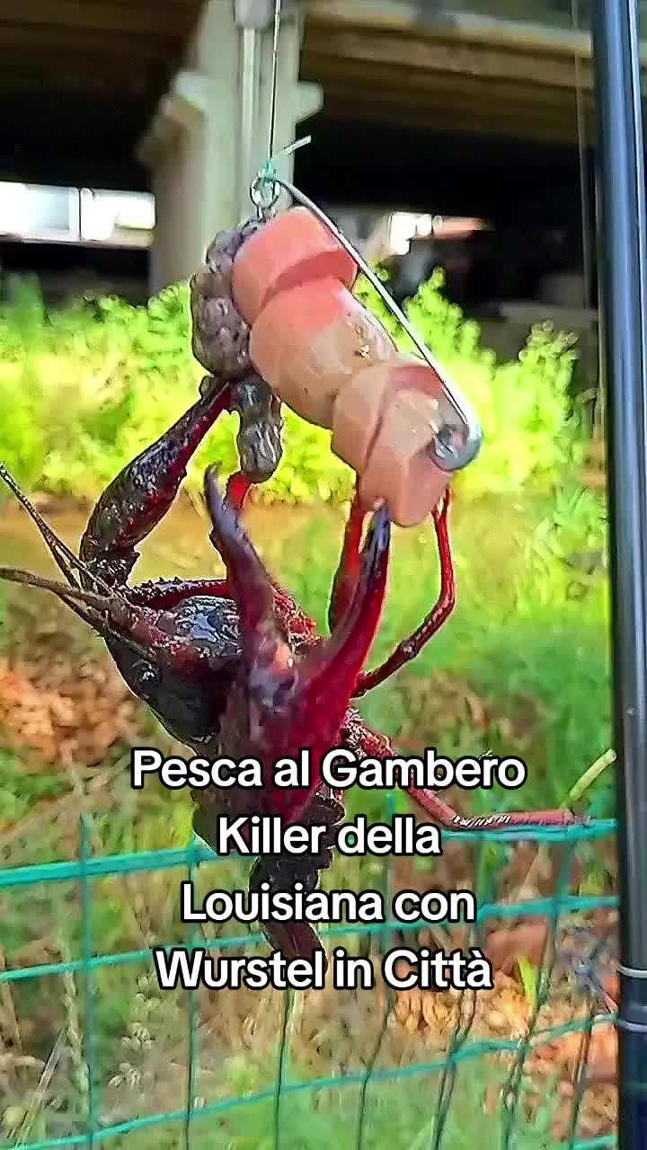 @🎣 maurizio 🇮🇹