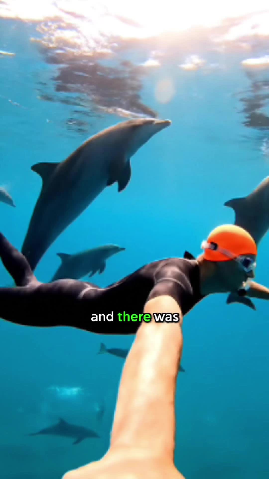 @JRE AnimalRants