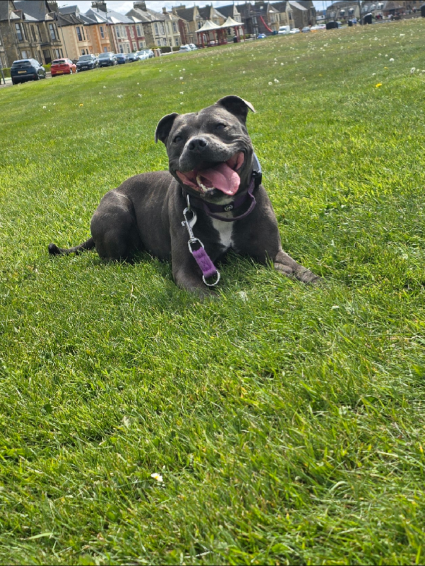 @Erin_GC_Karma_Gracie
